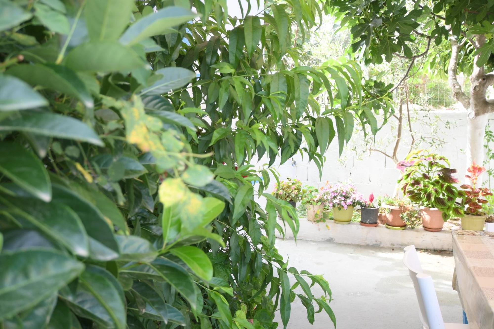 Apartament Luani คซามิล ห้อง รูปภาพ